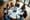 5 Steps to Choose the Right LA PR Agency for Your Startup