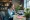 Understanding the Role of an ecommerce agent in Retail