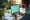 Master Creative Web Designing for Tech Startups' Success
