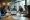 Why Your Startup Needs a Web Agentur for Digital Success